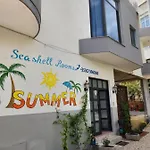 Seashell 3*