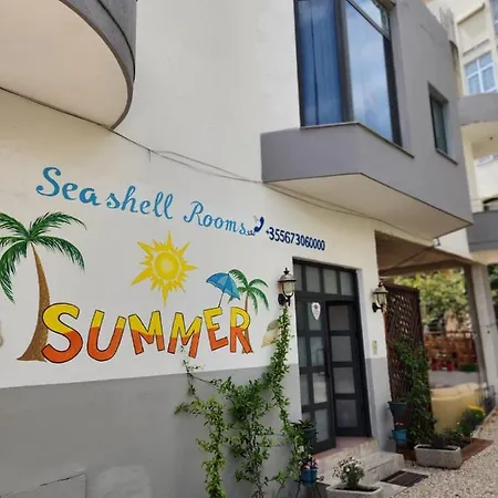 Seashell 3*